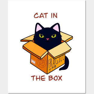 Cat in the box Posters and Art